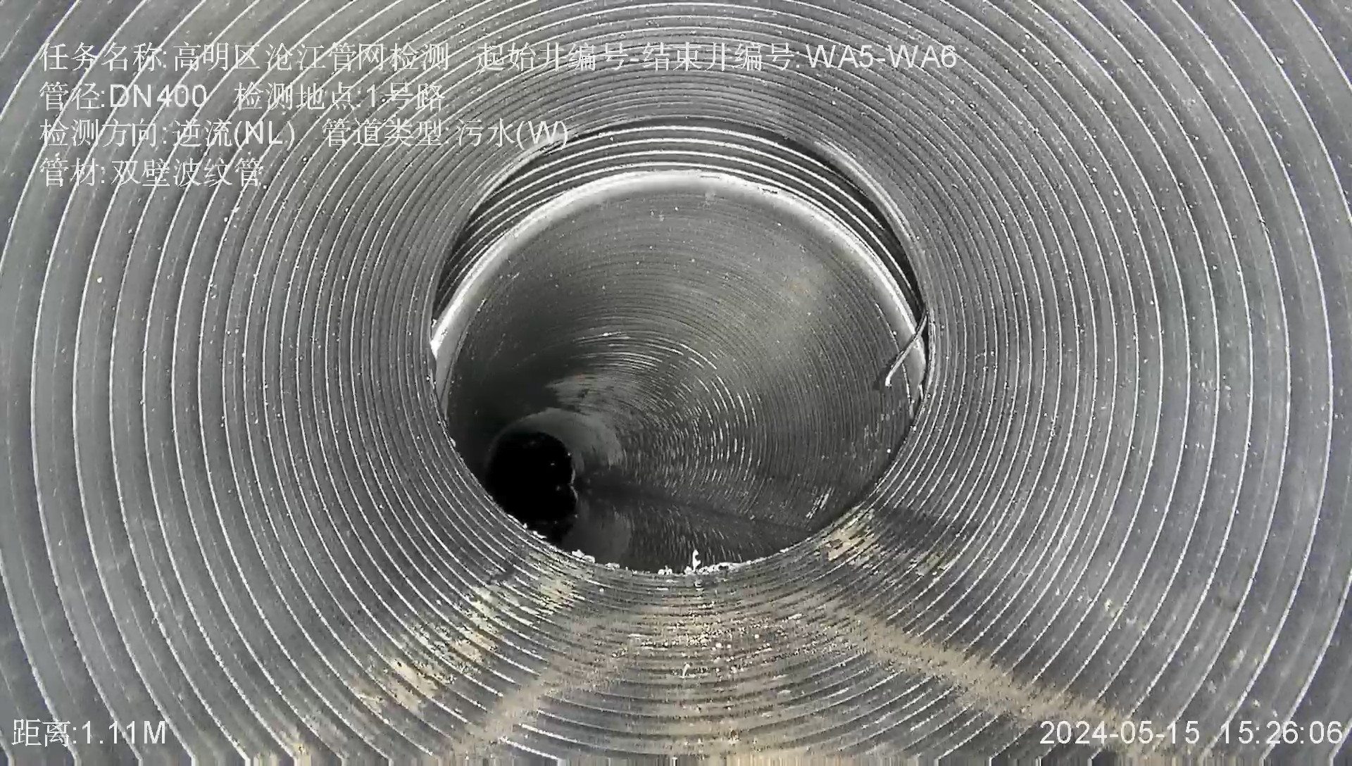 高明区沧江管网检测_WA5_WA6_1号路_20240515152608.jpg